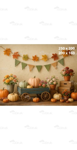 Tło fotograficzne Jesień, Dynie J_189